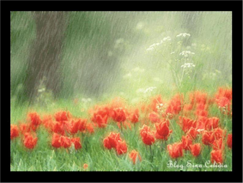 八年级上语文课件《昆明的雨》  人教版（2016部编版） (6)第1页