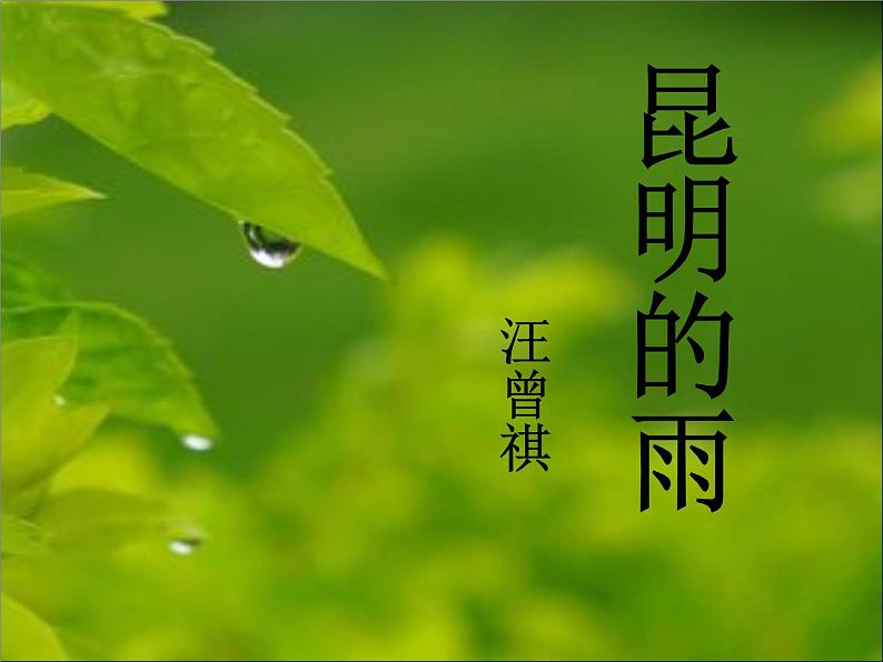 八年级上语文课件《昆明的雨》  人教版（2016部编版） (6)第4页