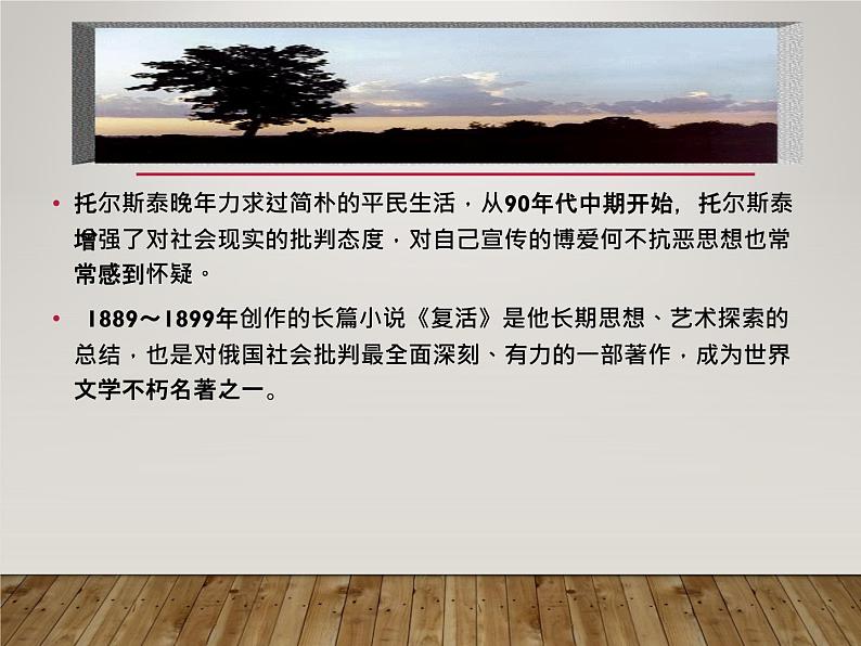 八年级上语文课件《列夫托尔斯泰》  人教版（2016部编版）05