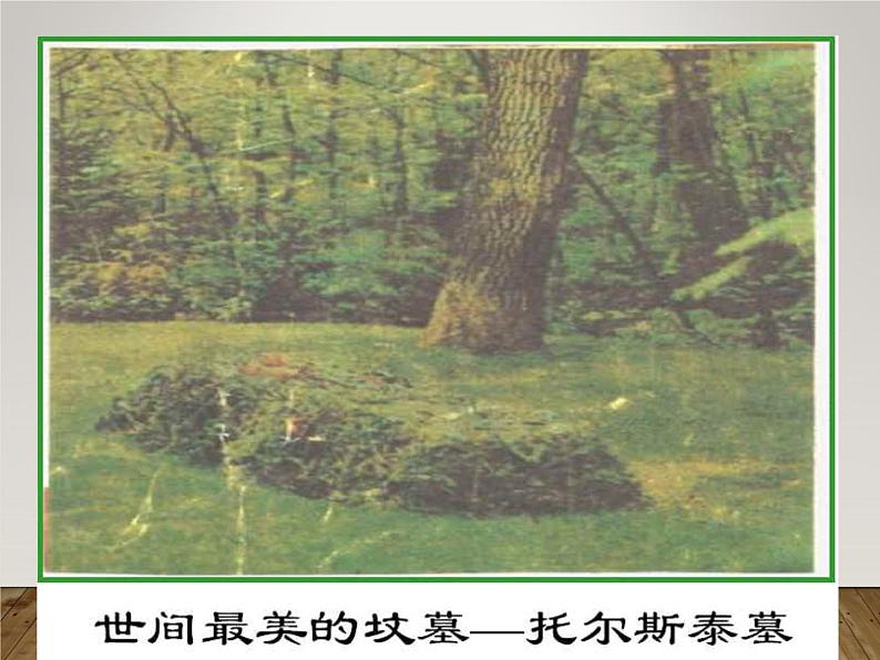 八年级上语文课件《列夫托尔斯泰》  人教版（2016部编版）07