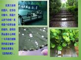 八年级上语文课件《昆明的雨》  人教版（2016部编版） (7)