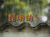 八年级上语文课件《昆明的雨》  人教版（2016部编版） (9)