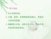 八年级上语文课件《昆明的雨》  人教版（2016部编版） (1)