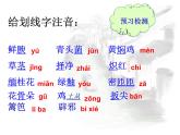 八年级上语文课件《昆明的雨》  人教版（2016部编版） (3)