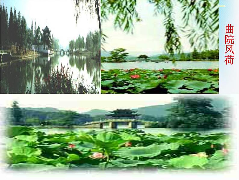 八年级上语文课件《钱塘湖春行》  人教版（2016部编版） (3)第6页