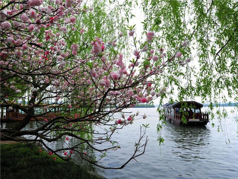 八年级上语文课件《钱塘湖春行》  人教版（2016部编版） (1)第2页