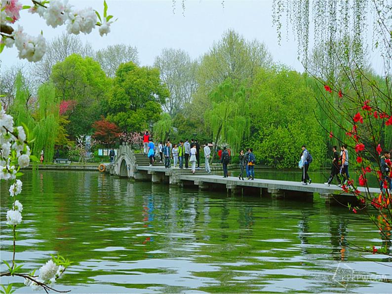 八年级上语文课件《钱塘湖春行》  人教版（2016部编版） (1)第3页