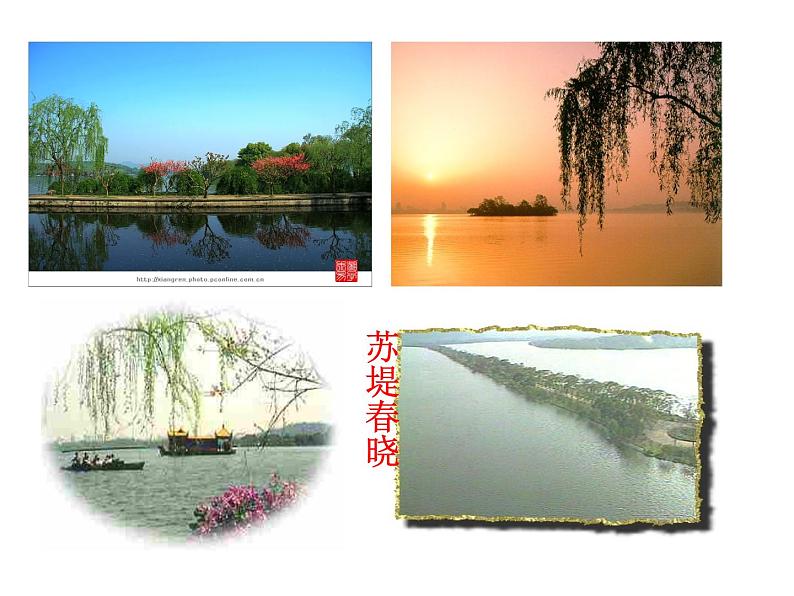 八年级上语文课件《钱塘湖春行》  人教版（2016部编版） (2)第2页