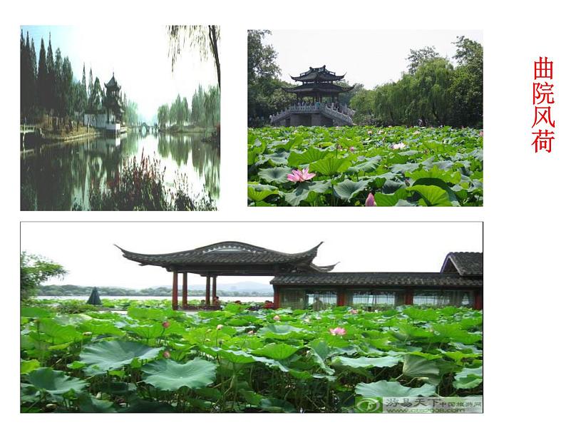 八年级上语文课件《钱塘湖春行》  人教版（2016部编版） (2)第3页