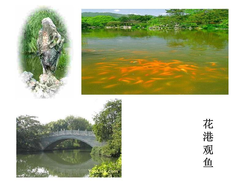 八年级上语文课件《钱塘湖春行》  人教版（2016部编版） (2)第6页