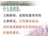 八年级上语文课件《人民解放军百万大军横渡长江》  人教版（2016部编版） (4)