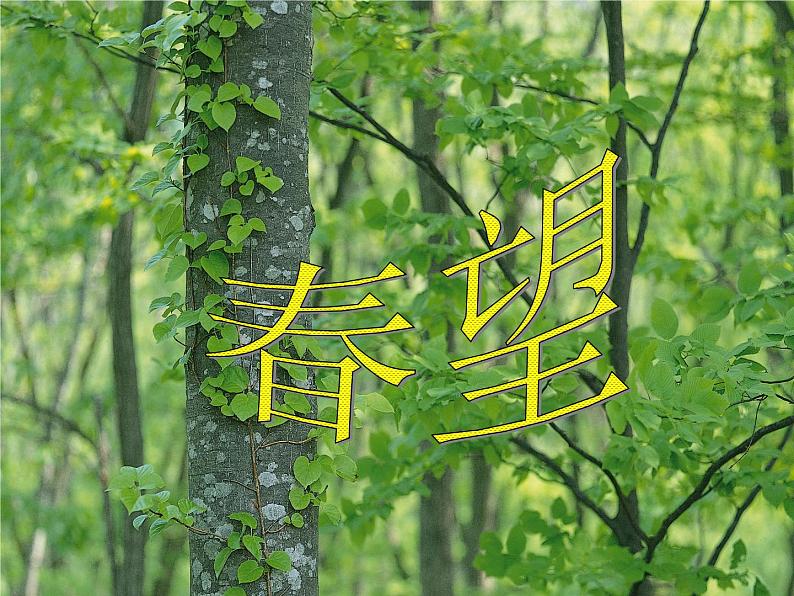 八年级上语文课件《诗词五首 春望》  人教版（2016部编版） (2)01