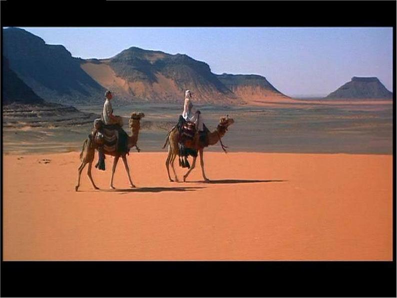 八年级上语文课件《使至塞上》  人教版（2016部编版） (6)02