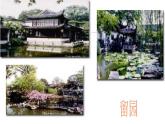 八年级上语文课件《苏州园林》  人教版（2016部编版） (7)