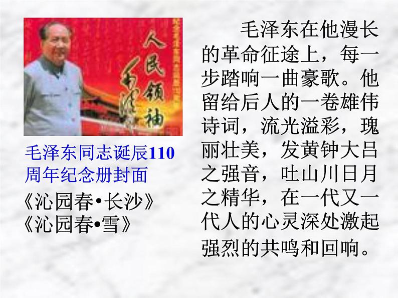 八年级上语文课件《我三十万大军胜利南渡长江》  人教版（2016部编版）05