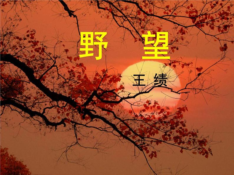 八年级上语文课件《野望》  人教版（2016部编版） (9)第1页