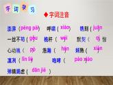 八年级上语文课件《一着惊海天—目击我国航母舰载战斗机首架次成功着舰》  人教版（2016部编版） (9)