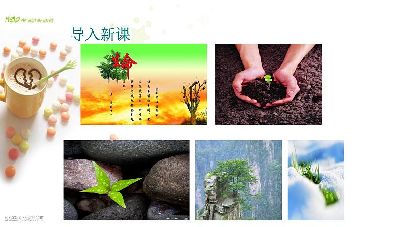 八年级上语文课件《永久的生命》  人教版（2016部编版） (1)02