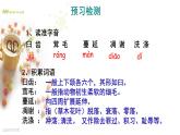 八年级上语文课件《永久的生命》  人教版（2016部编版） (1)