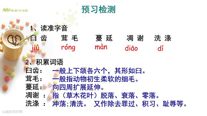 八年级上语文课件《永久的生命》  人教版（2016部编版） (1)04