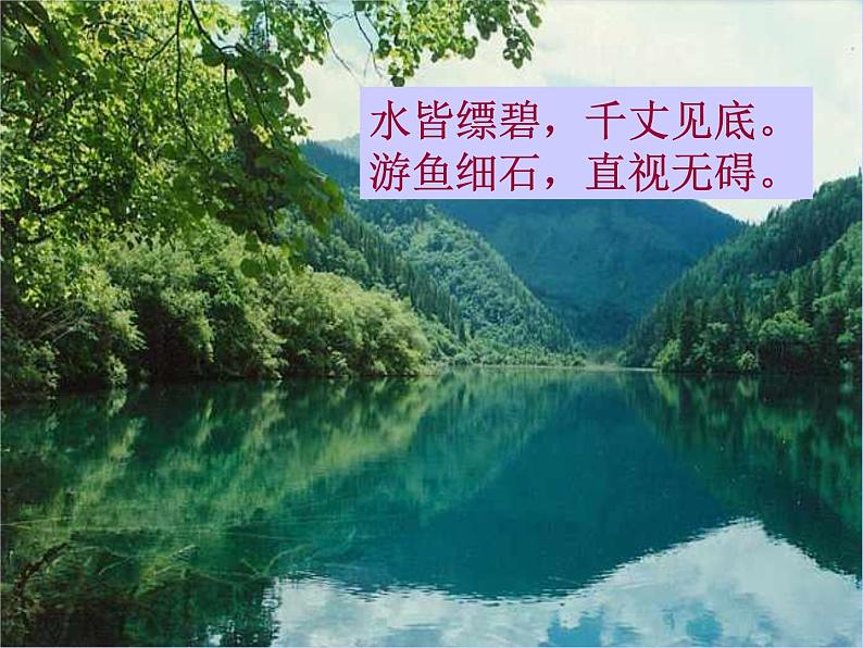 八年级上语文课件《与朱元思书》  人教版（2016部编版） (1)06