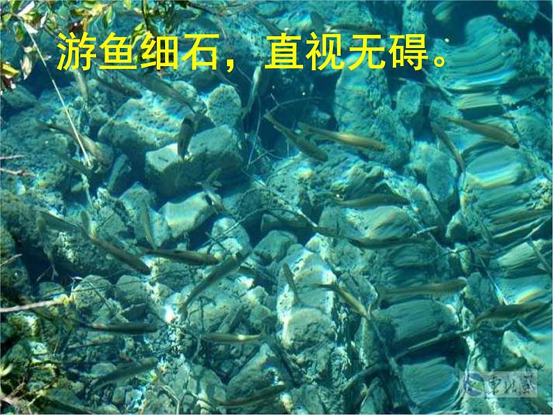 八年级上语文课件《与朱元思书》  人教版（2016部编版） (1)07