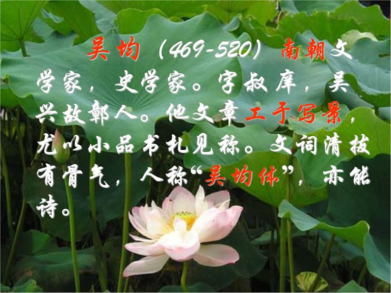 八年级上语文课件《与朱元思书》  人教版（2016部编版） (5)02