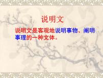 人教部编版八年级上册17 中国石拱桥课文内容ppt课件