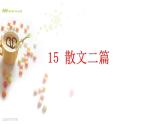 八年级上语文课件《永久的生命》  人教版（2016部编版） (4)