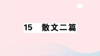 初中语文人教部编版八年级上册15* 散文二篇综合与测试习题课件ppt