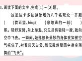 八年级上语文课件安徽专版第一单元3飞天凌空__跳水姑娘吕伟夺魁记习题课件新人教版_人教版（2016部编版）