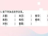 八年级上语文课件安徽专版第五单元19苏州园林习题课件新人教版_人教版（2016部编版）