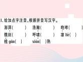 八年级上语文课件安徽专版第一单元4一着惊海天__目击我国航母舰载战斗机首架次成功着舰习题课件新人教版_人教版（2016部编版）