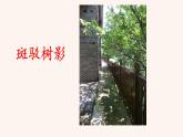 八年级上语文课件写作 学习描写景物1_人教版（2016部编版）
