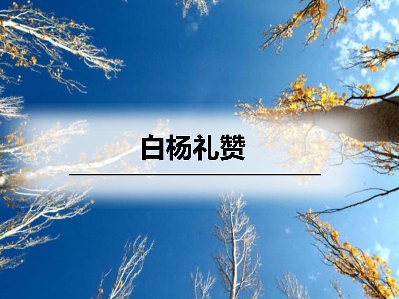 八年级上语文课件15《白杨礼赞》_人教版（2016部编版）01