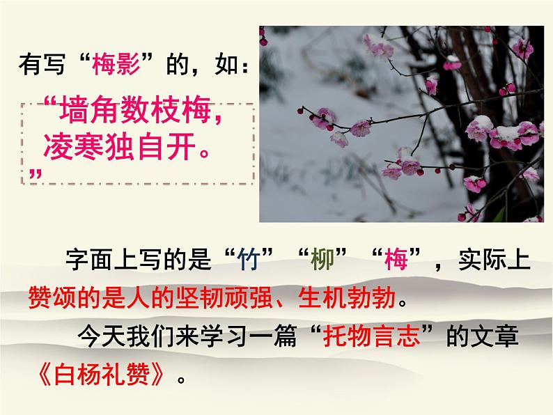 八年级上语文课件15《白杨礼赞》_人教版（2016部编版）04