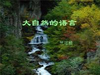初中语文人教部编版八年级下册5 大自然的语言精品课件ppt