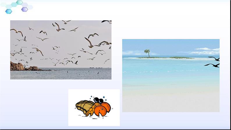 八年级下册语文课件《大自然的语言》  人教版（2016部编版） (6)第1页