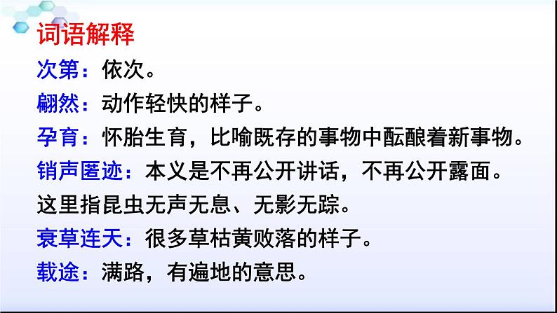八年级下册语文课件《大自然的语言》  人教版（2016部编版） (6)第8页