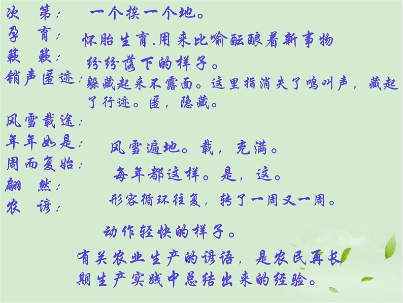 八年级下册语文课件《大自然的语言》  人教版（2016部编版） (5)第6页