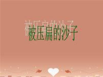 初中语文人教部编版八年级下册被压扁的沙子优秀课件ppt