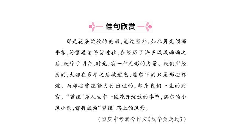 八年级下册语文课件《登勃朗峰》  人教版（2016部编版） (4)02