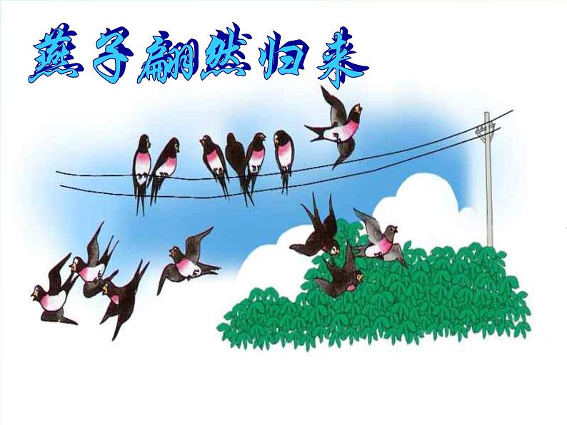 八年级下册语文课件《大自然的语言》  人教版（2016部编版）07