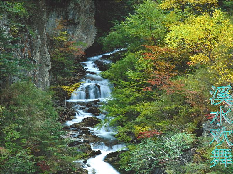 八年级下册语文课件《大自然的语言》  人教版（2016部编版）08