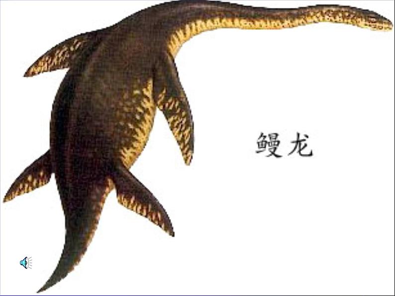 八年级下册语文课件《阿西莫夫短文两篇  恐龙无处不有》  人教版（2016部编版） (1)第2页