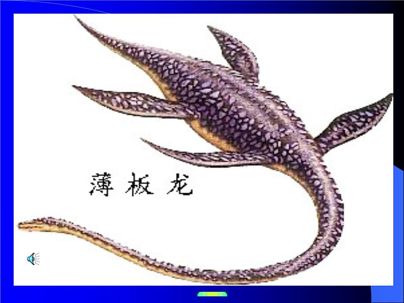 八年级下册语文课件《阿西莫夫短文两篇  恐龙无处不有》  人教版（2016部编版） (1)第4页