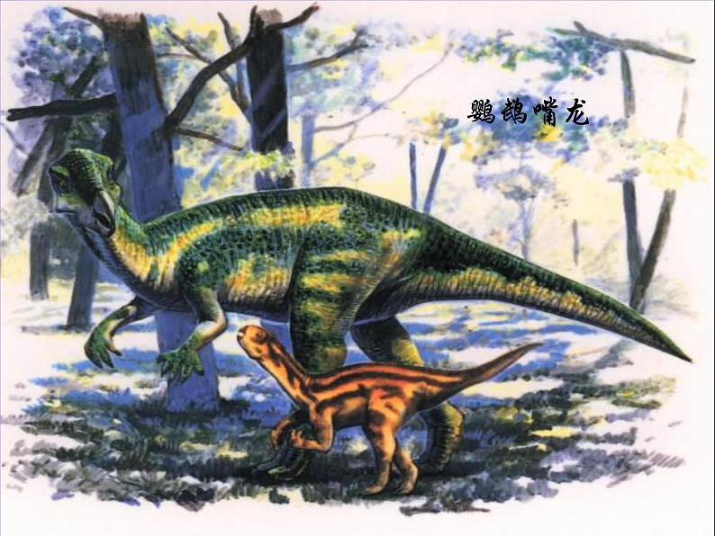 八年级下册语文课件《阿西莫夫短文两篇  恐龙无处不有》  人教版（2016部编版） (1)第8页