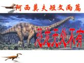 八年级下册语文课件《阿西莫夫短文两篇  恐龙无处不有》  人教版（2016部编版） (10)