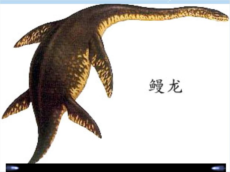 八年级下册语文课件《阿西莫夫短文两篇  恐龙无处不有》  人教版（2016部编版） (8)07