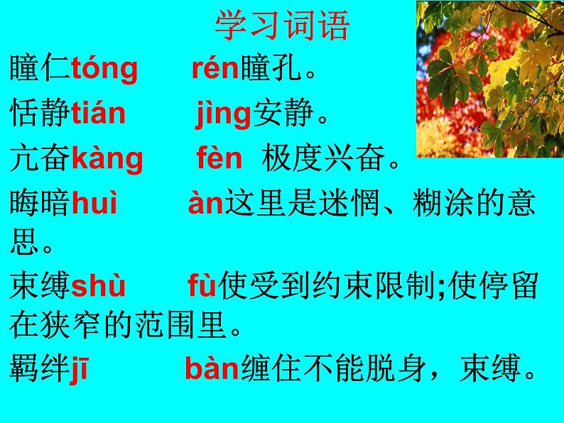 八年级下册语文课件《安塞腰鼓》  人教版（2016部编版） (6)第8页